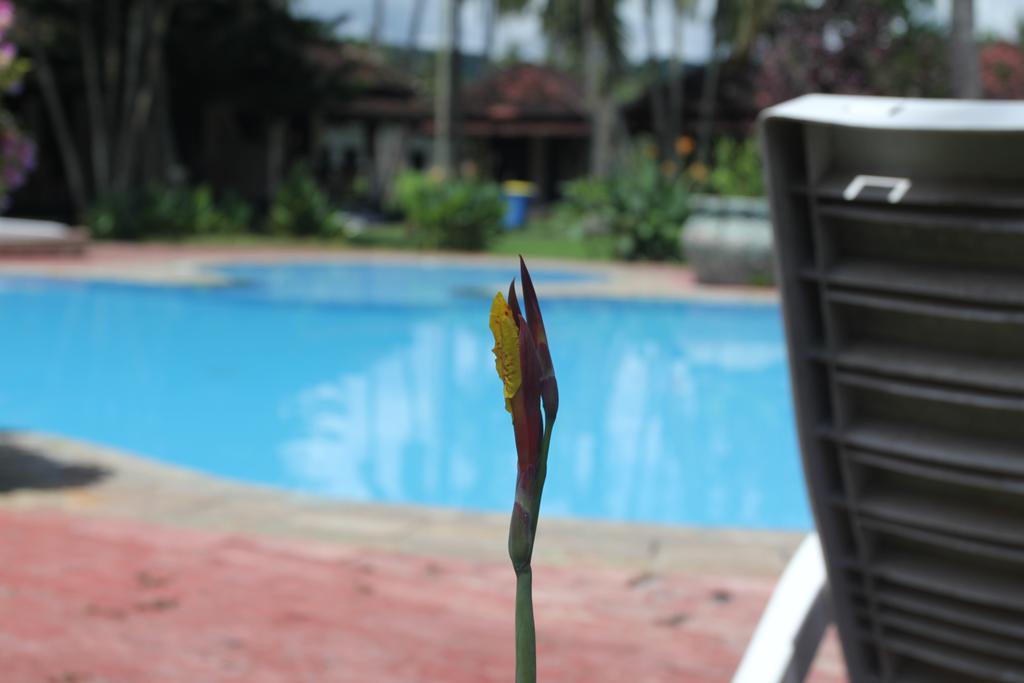 Kuta Indah Hotel Esterno foto